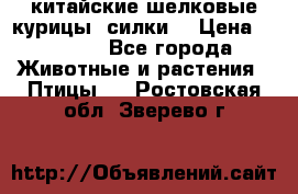 китайские шелковые курицы (силки) › Цена ­ 2 500 - Все города Животные и растения » Птицы   . Ростовская обл.,Зверево г.